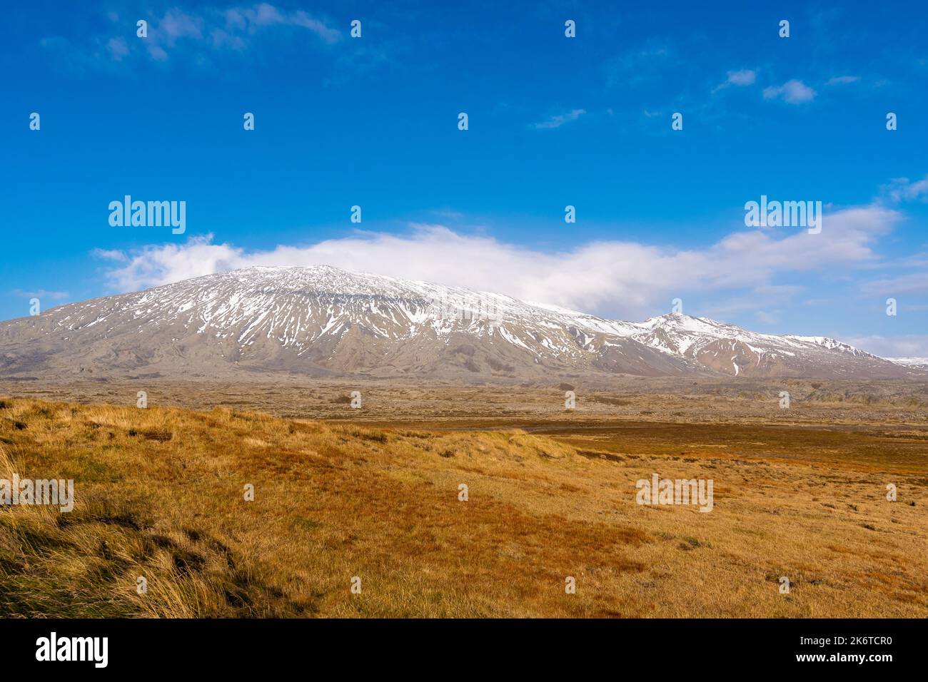 Magnifique paysage et nature islandais Banque D'Images