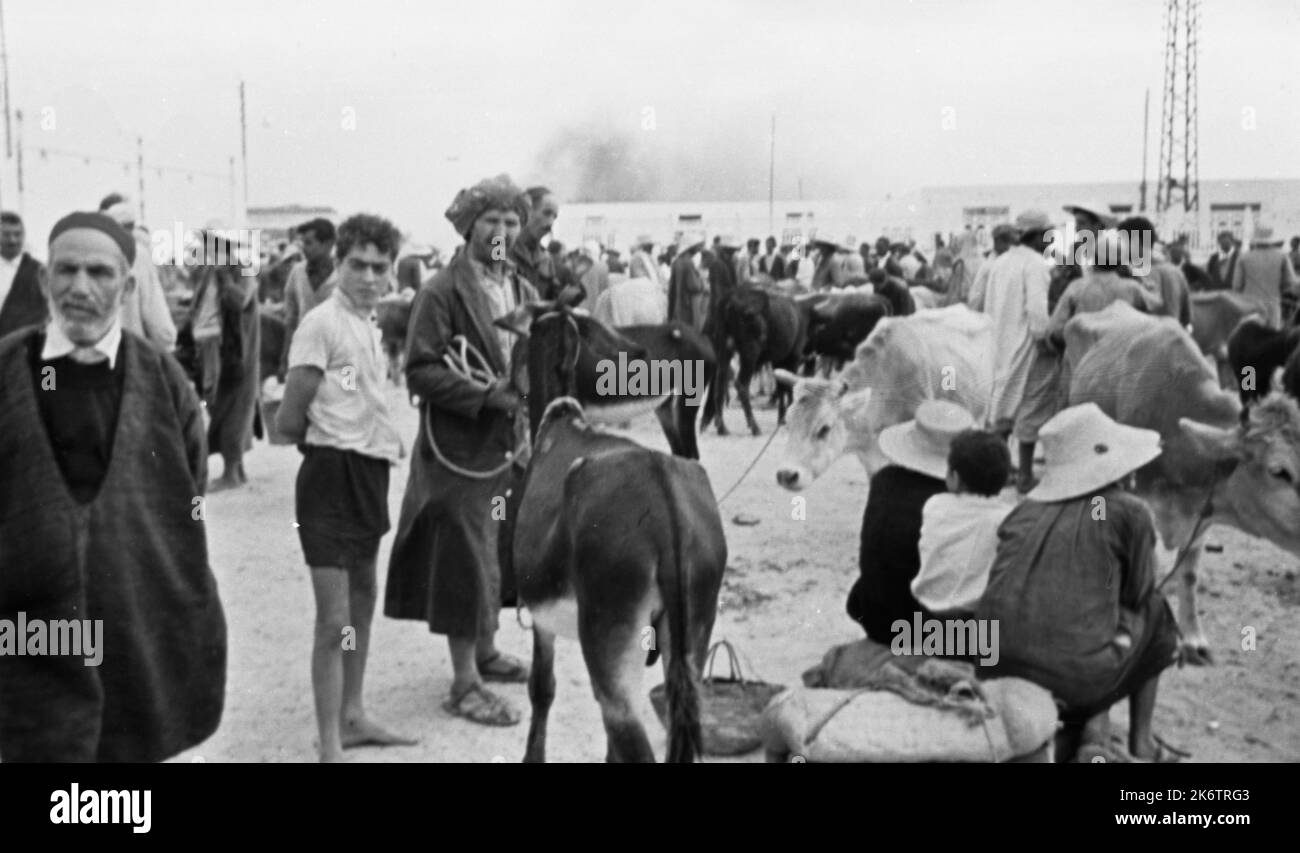 Le tourisme en était à ses débuts, comme ici en 1961, TUN, Tunisie Banque D'Images