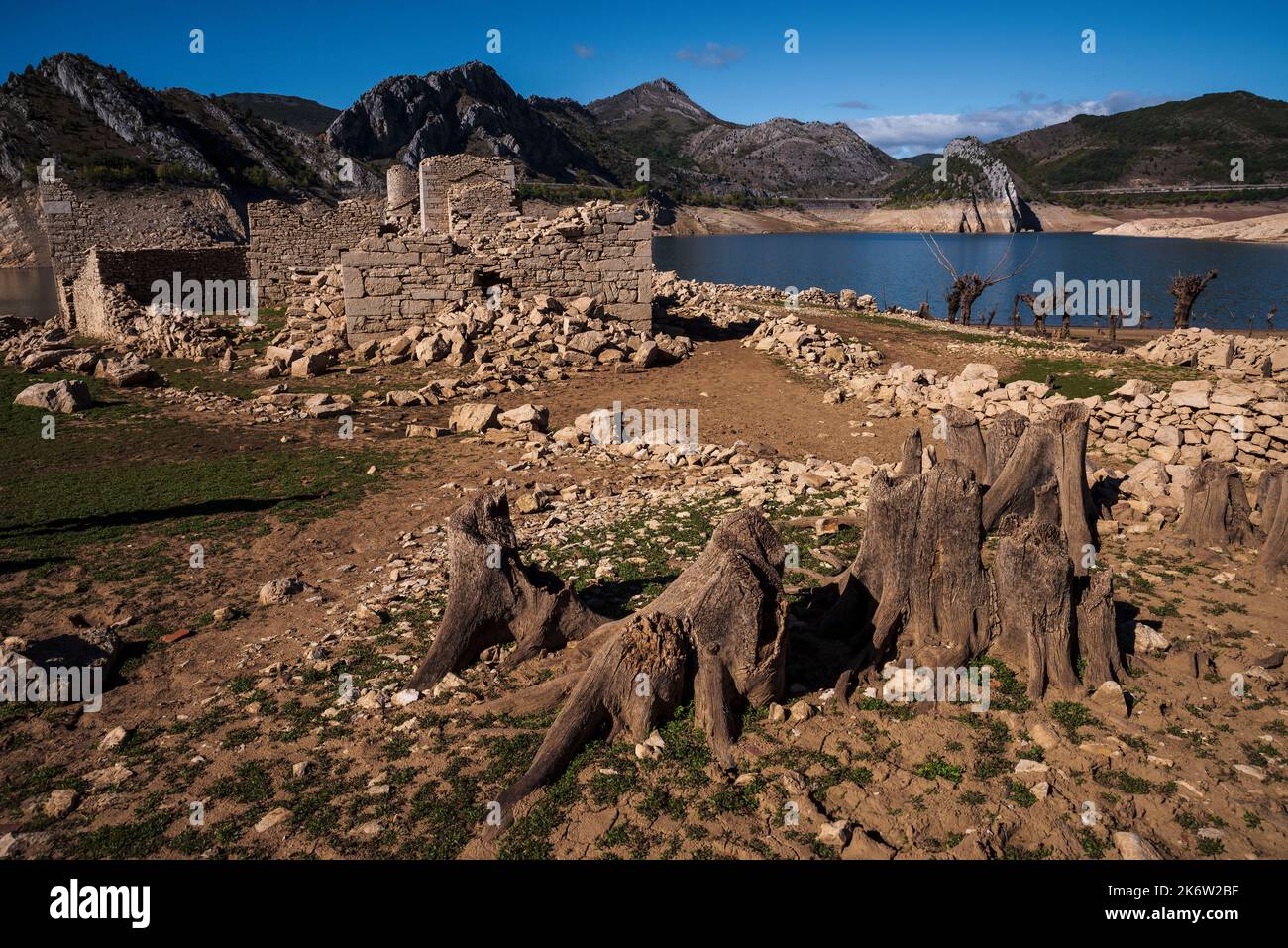 Pantano Barrios de Luna león a nivel bajo Banque D'Images