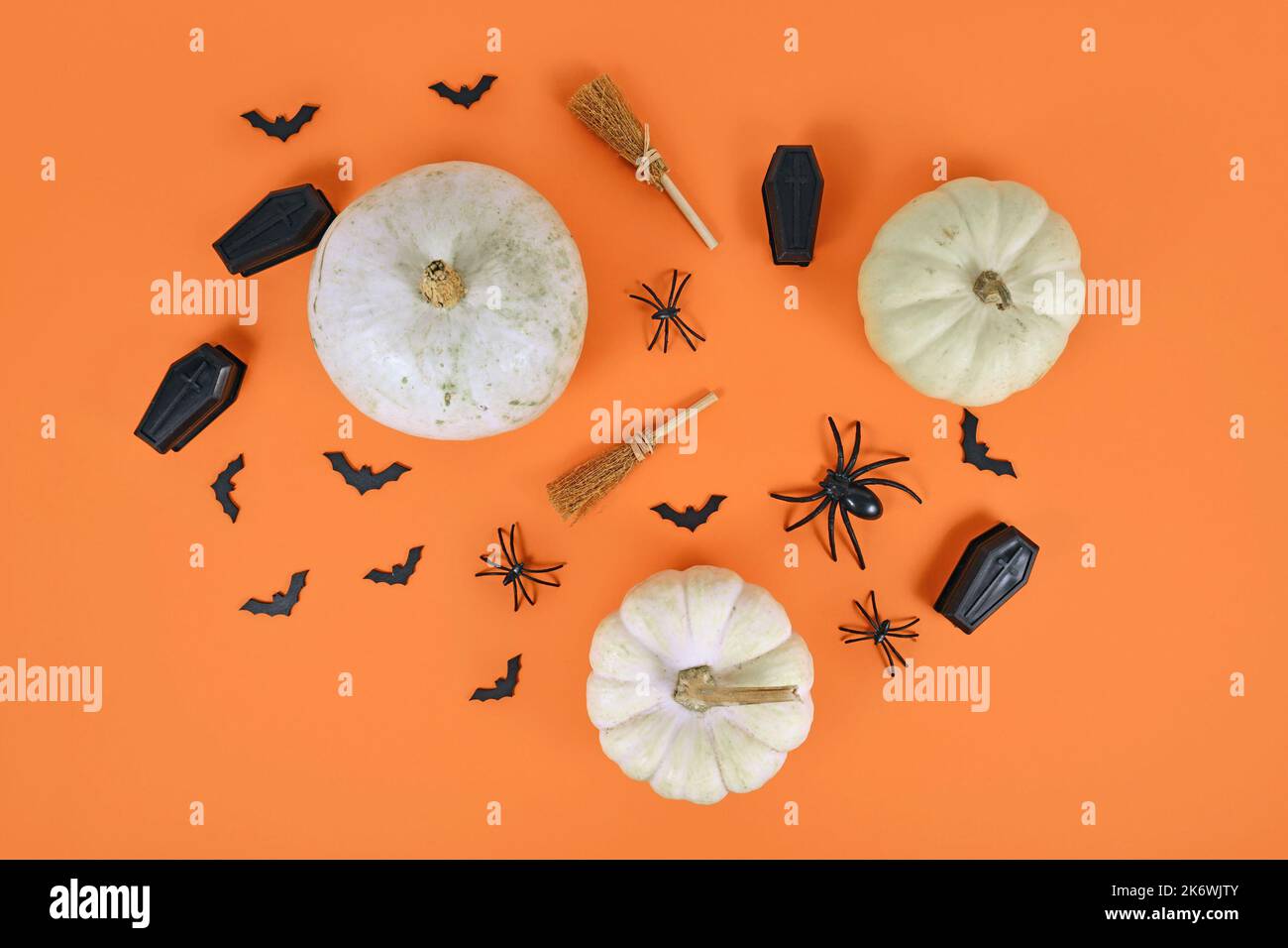 Arrangement d'Halloween avec des citrouilles blanches, des araignées noires, des chauves-souris et des cercueils et des balais de sorcière sur fond orange Banque D'Images