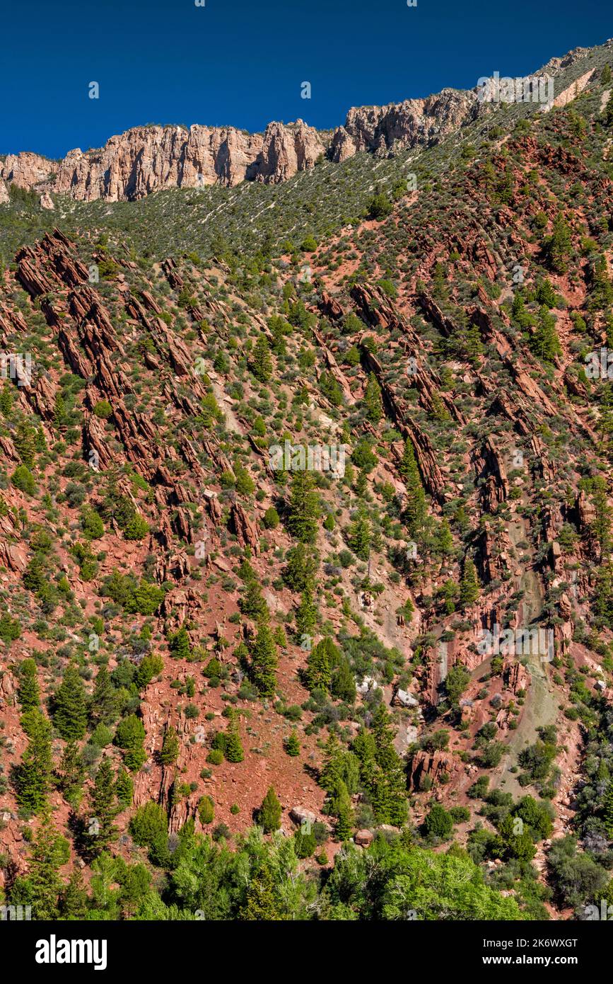 Couches de Hades Pass inclinées vers le haut, Uinta Mountains Group, zone géologique de Sheep Creek Canyon, chaîne d'Uinta, Ashley National Forest, Utah, États-Unis Banque D'Images