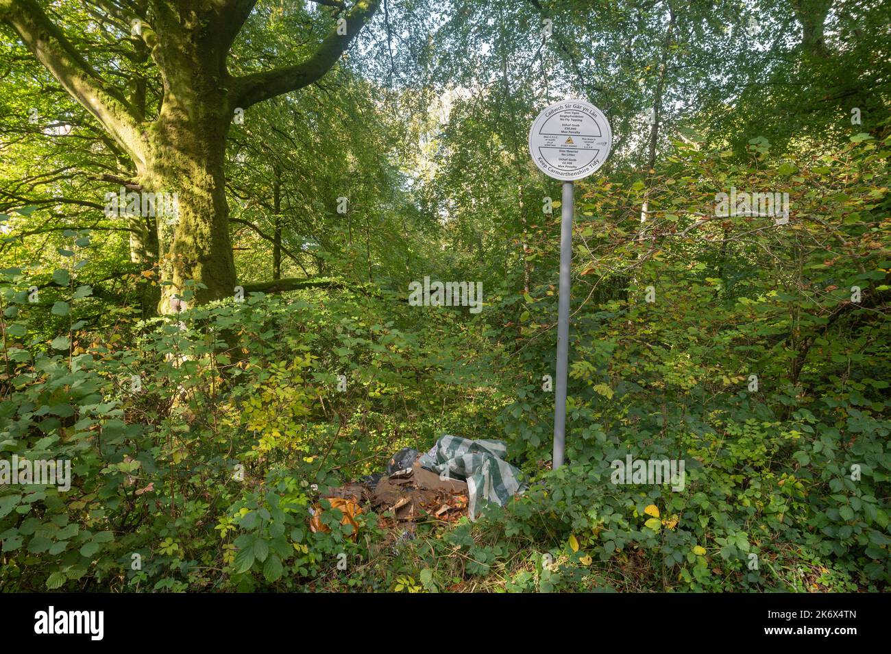 Envolez-vous avec des ordures ménagères dans les bois sur le côté de la route à côté du panneau, Carmarthenshire, pays de Galles, Royaume-Uni Banque D'Images