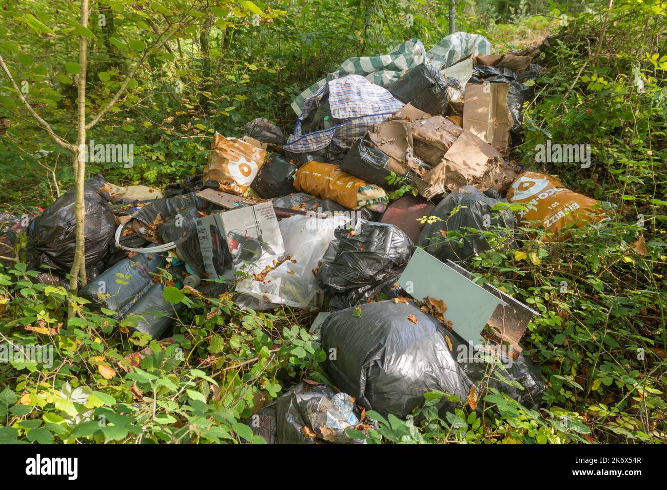 Faites voler les ordures ménagères dans les bois sur le côté de la route, Carmarthenshire, pays de Galles, Royaume-Uni Banque D'Images