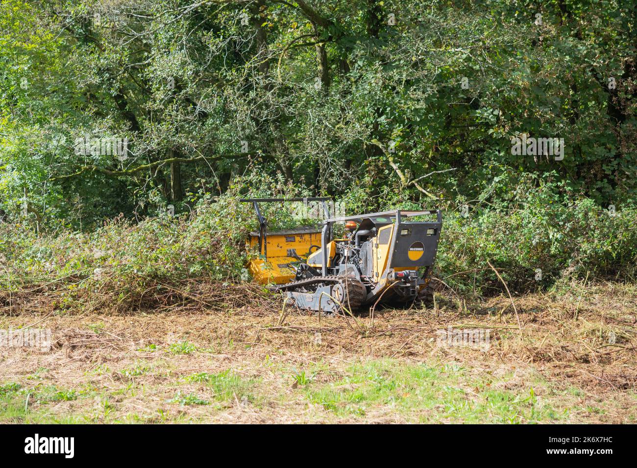 Robocut, tondeuse à chenilles à commande à distance, coupe dans les champs, Carmarthenshire, pays de Galles, Royaume-Uni Banque D'Images