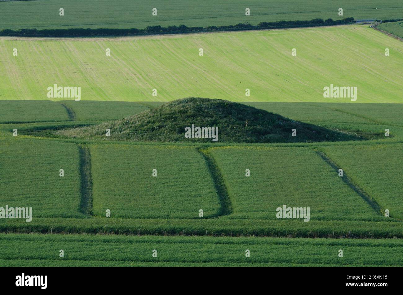 Monticule funéraire antique dans les terres arables près de Dorchester, à Dorset, au Royaume-Uni Banque D'Images
