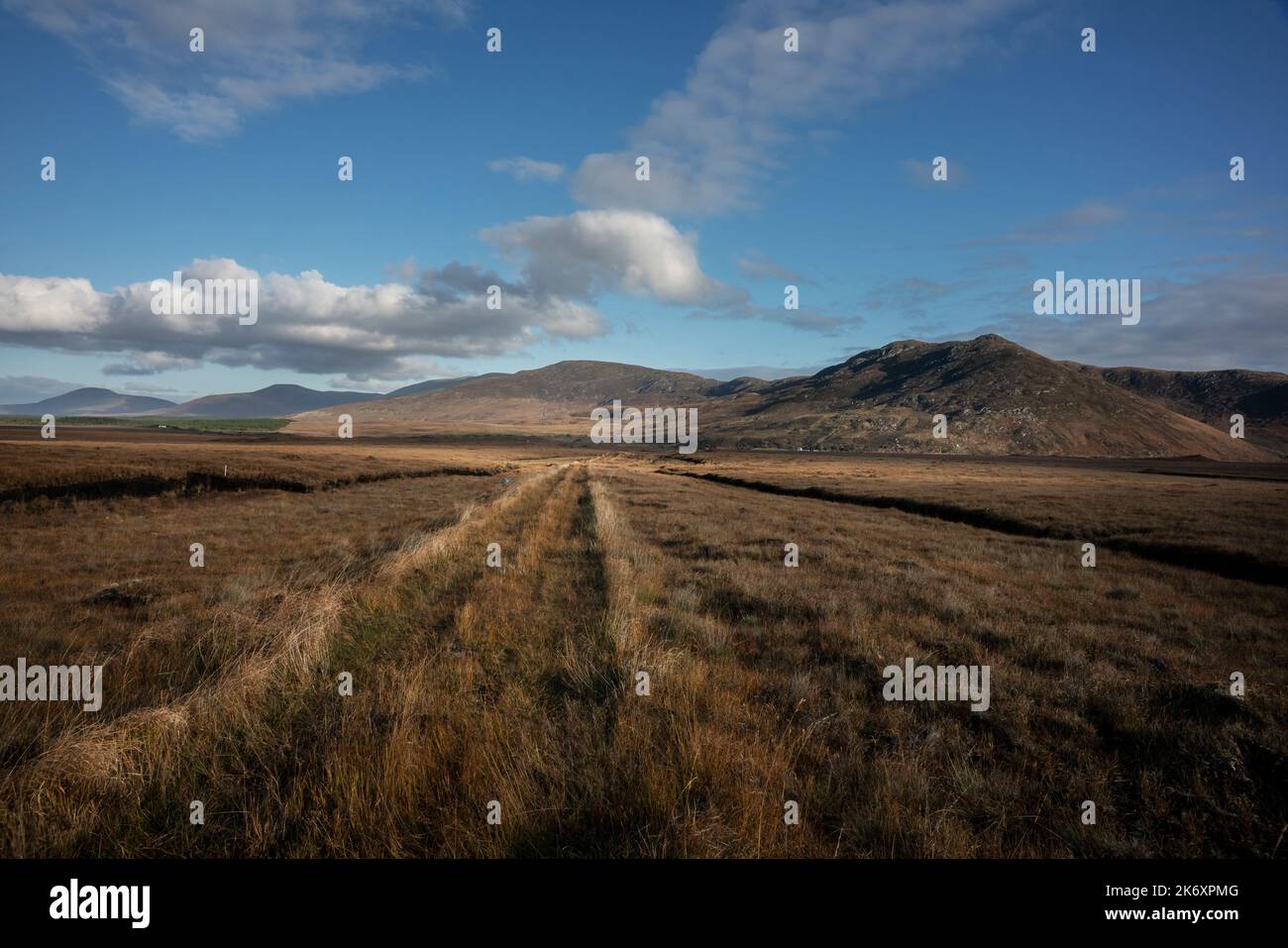 Tourbières près de lough Gar en automne. Co Mayo, Irlande. Montagnes sauvages Nephin à l'horizon. Banque D'Images