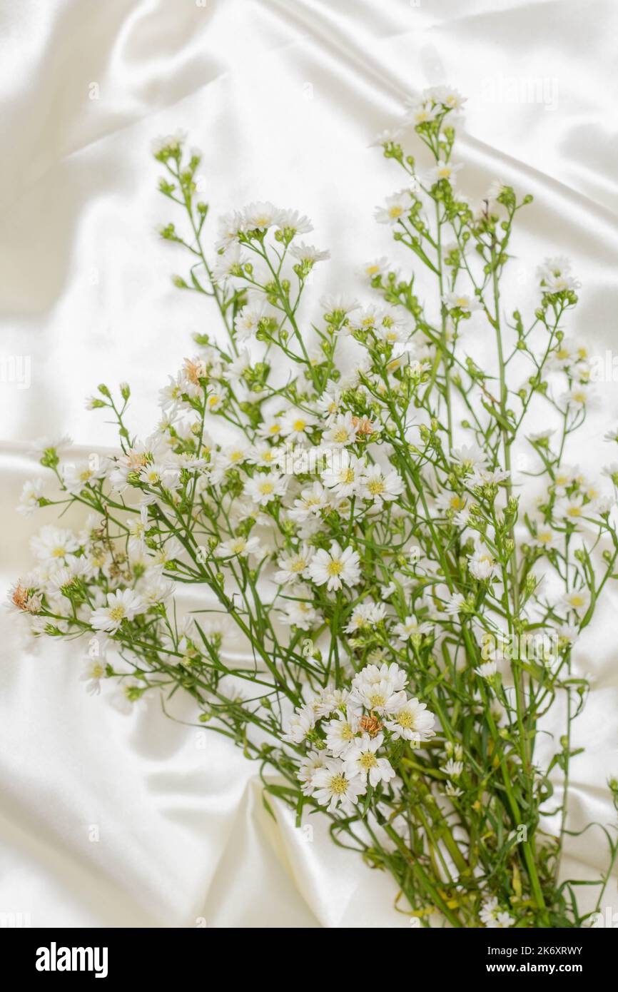 Beau concept de fleur, bouquet de fleur de coupe blanche sur fond de tissu blanc. Banque D'Images