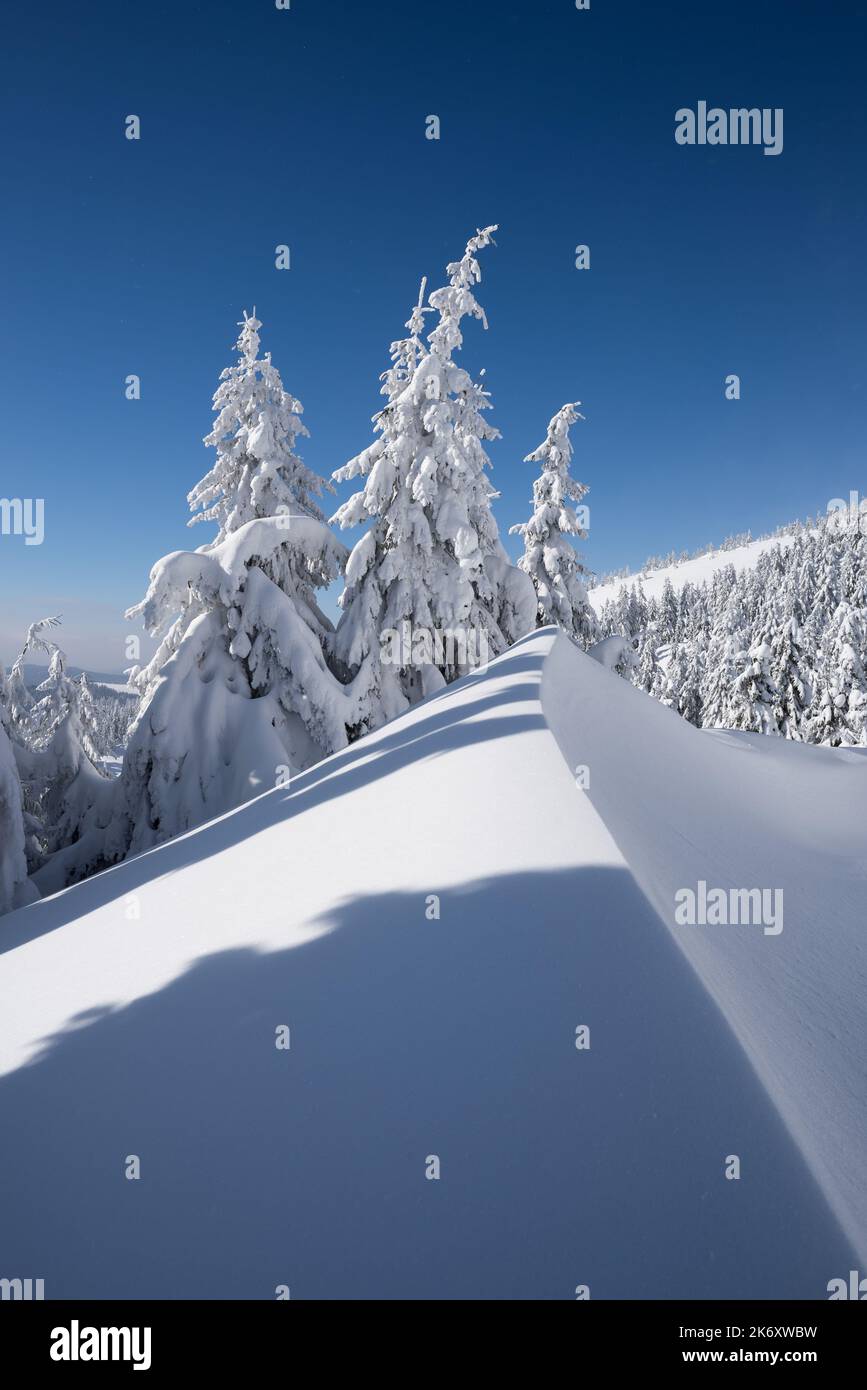 Paysage d'hiver avec une grande dérive des neiges dans les montagnes, par une journée ensoleillée et glacée Banque D'Images