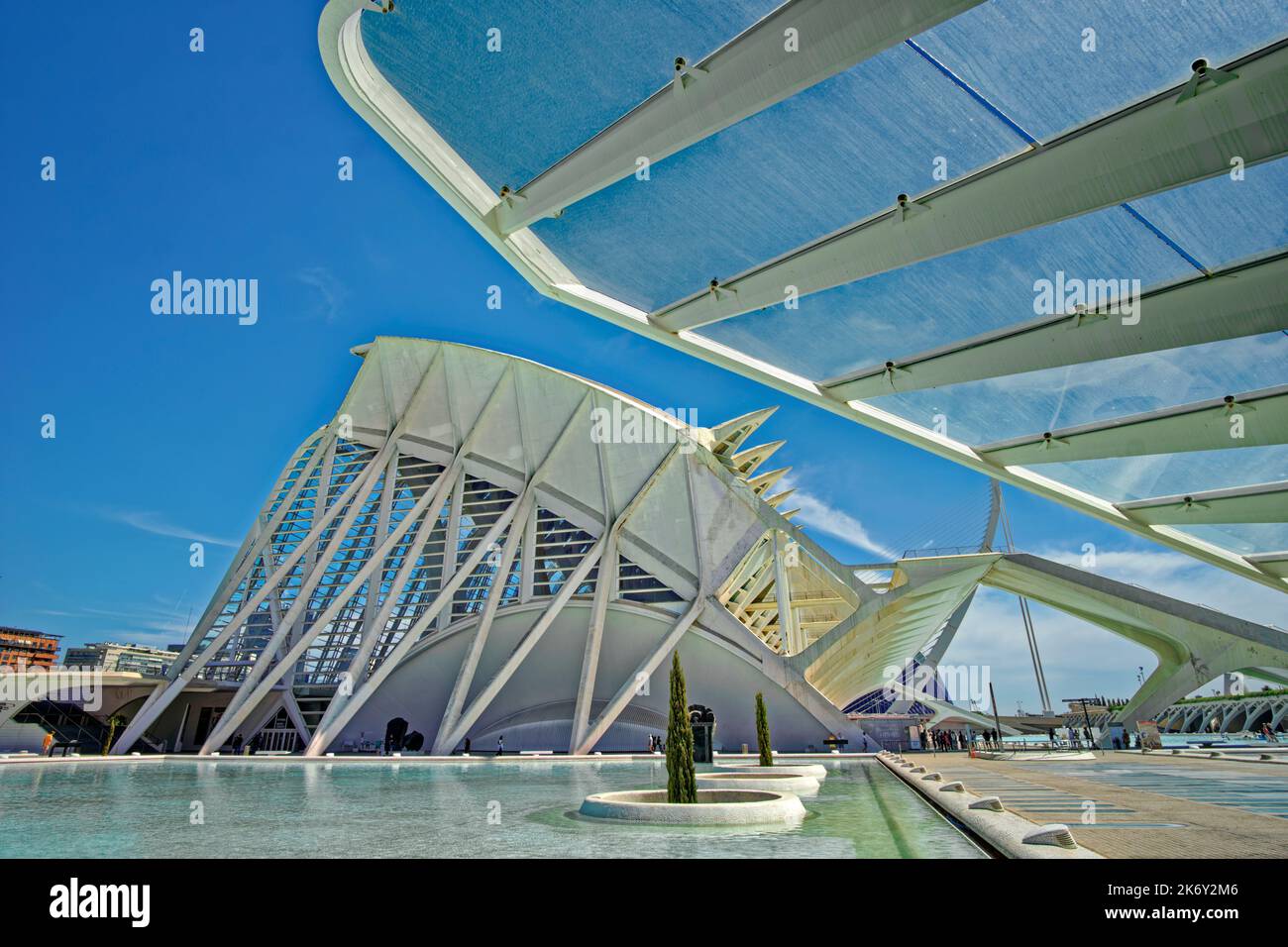 Musée des Sciences dans la ville de Valence, province de Valence, Espagne. Banque D'Images