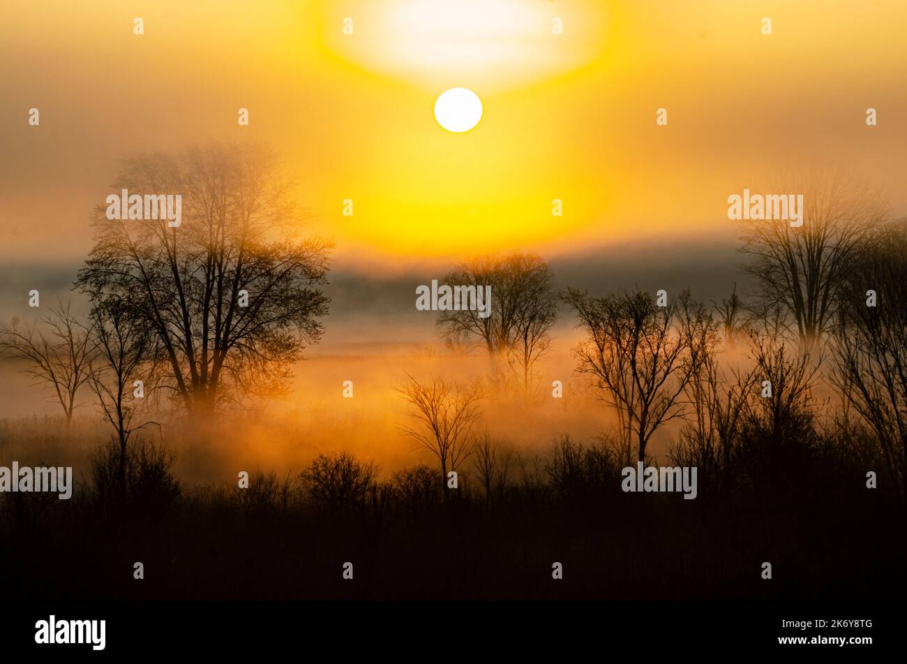 Le soleil se lève sur les terres humides du sanctuaire Phyllis Haehnle, dans le comté de Jackson, Michigan Banque D'Images