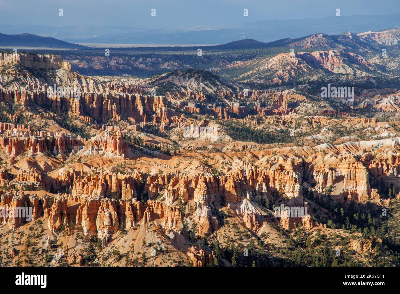 Bryce Canyon - roches piquantes rouges dans le canyon de Bryce dans l'Utah. L'amphithéâtre du canyon de Bryce surplombe de fascinantes roches rouges et orange à l'heure d'or Banque D'Images