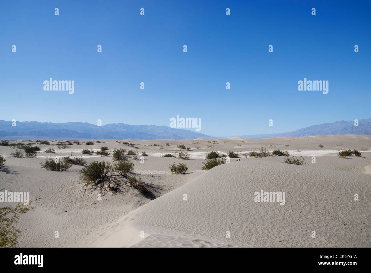 Dunes de sable de Mesquite Flat dans le parc national de la Vallée de la mort en Californie. Désert en Californie Banque D'Images