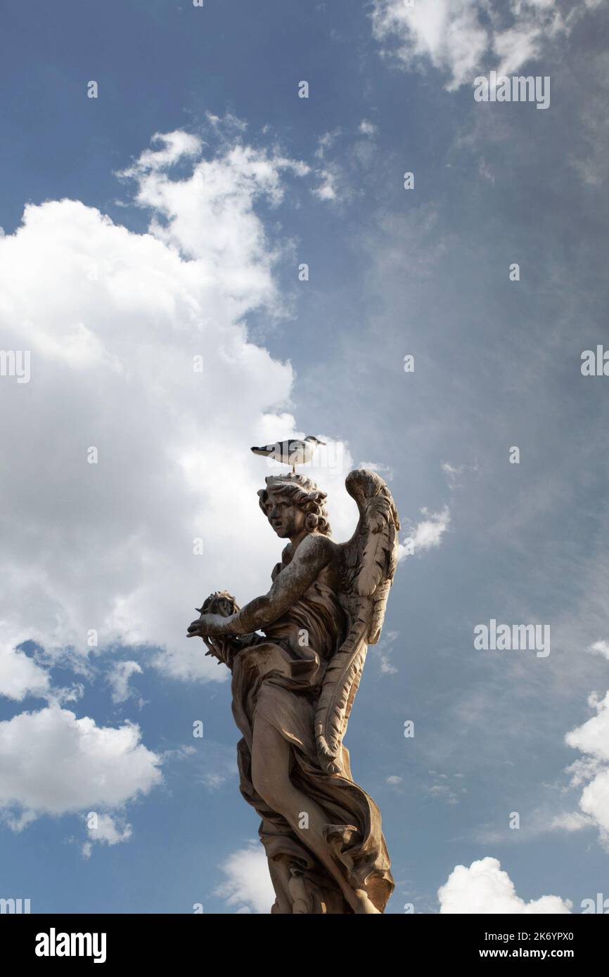 Mouette reposant sur une statue Banque D'Images