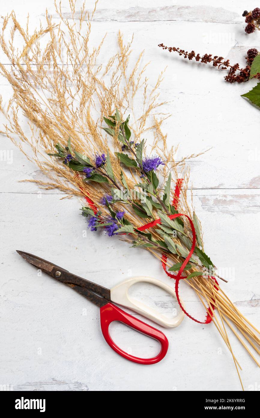 Têtes de semence d'herbe séchée et fleurs et ciseaux de Caryopteris bleus Banque D'Images