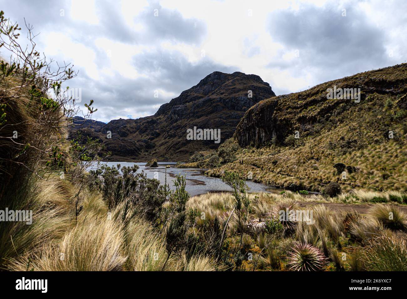 Lac et gras dans les montagnes du parc national de cajas dans les Andes équatoriennes Banque D'Images