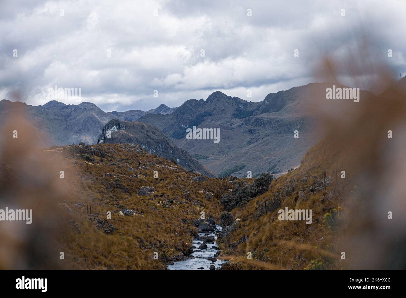 Ruisseau/rivière et gras dans les montagnes du parc national de cajas dans les Andes équatoriennes Banque D'Images