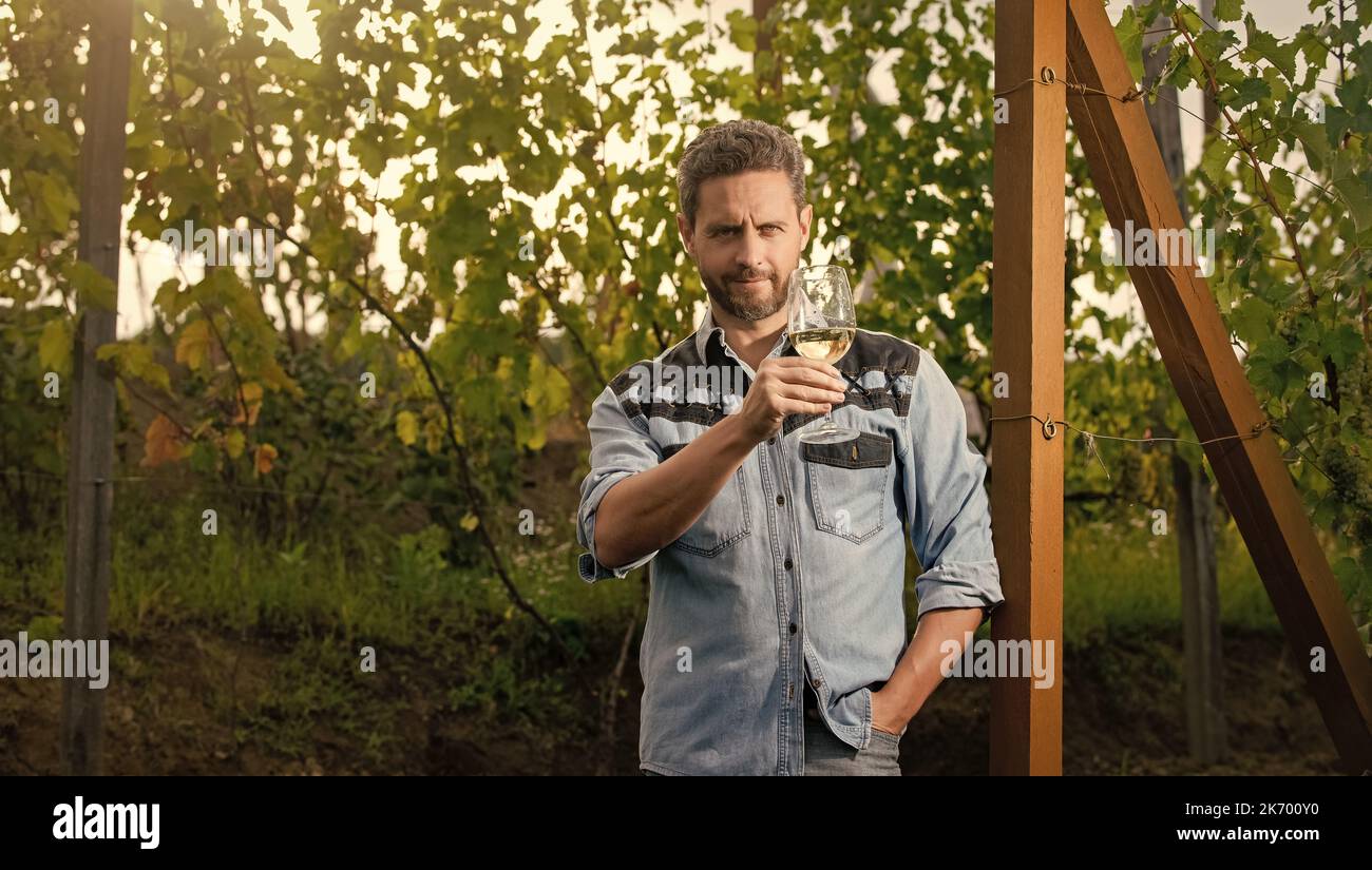 sommelier. fermier boit du vin. santé. vinedresser boit. homme propriétaire de vignoble. Banque D'Images