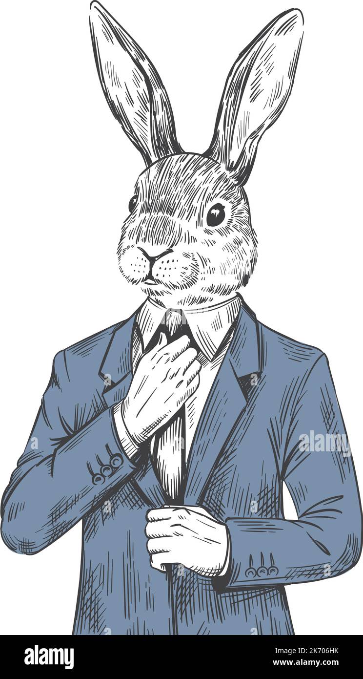 Costume de lièvre et lapin | Costume de lapin drôle homme | Moyen | Costume  de | bol