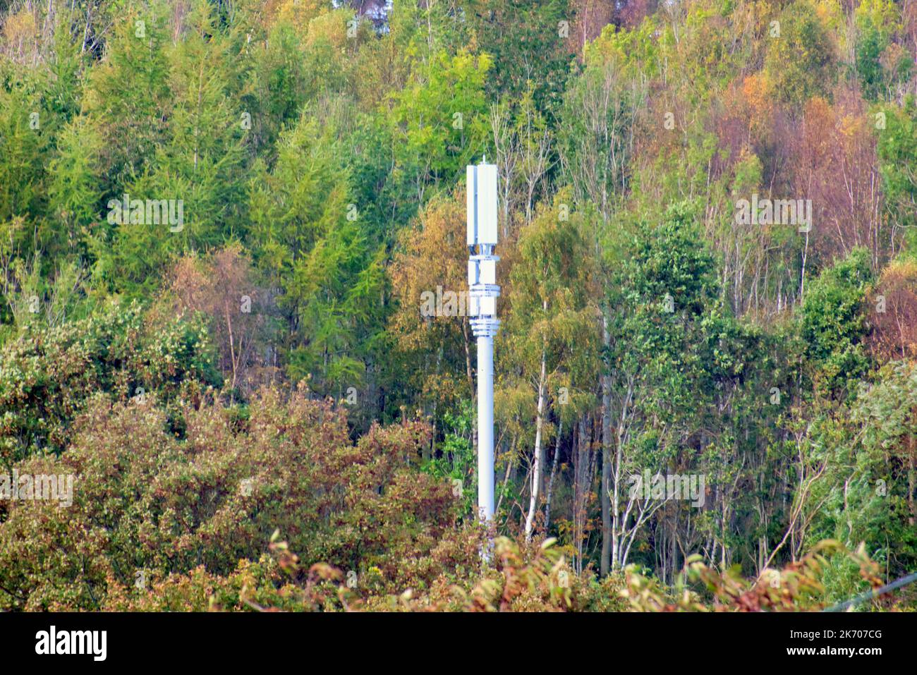 technologie téléphone mobile poteau dans les bois d'automne Banque D'Images