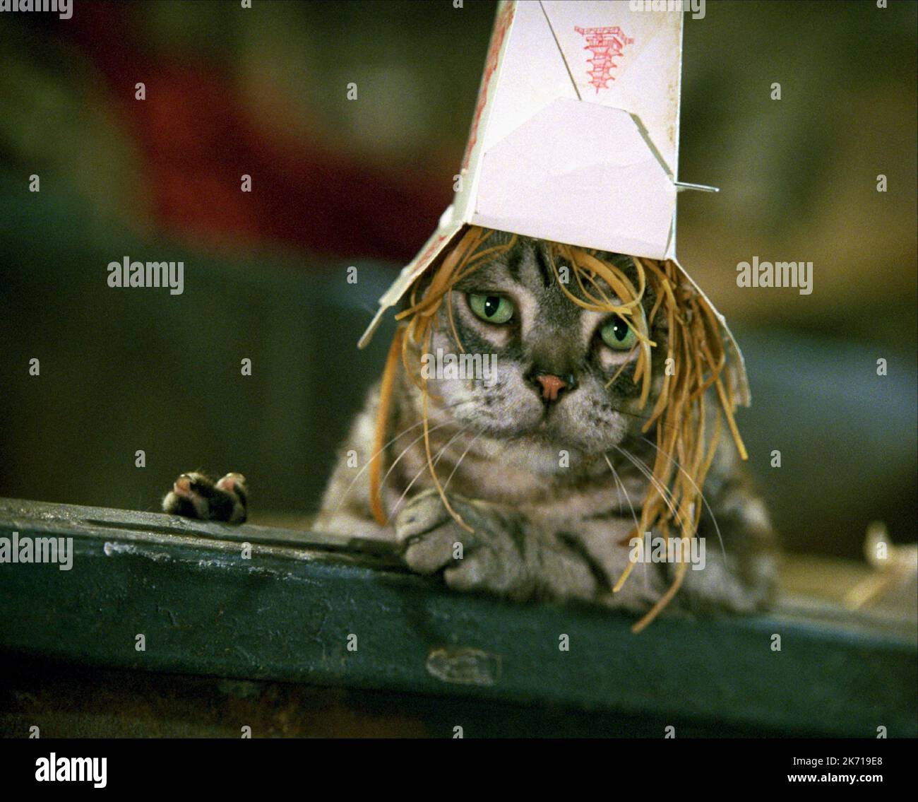 MONTY, STUART LITTLE 2, 2002 Banque D'Images