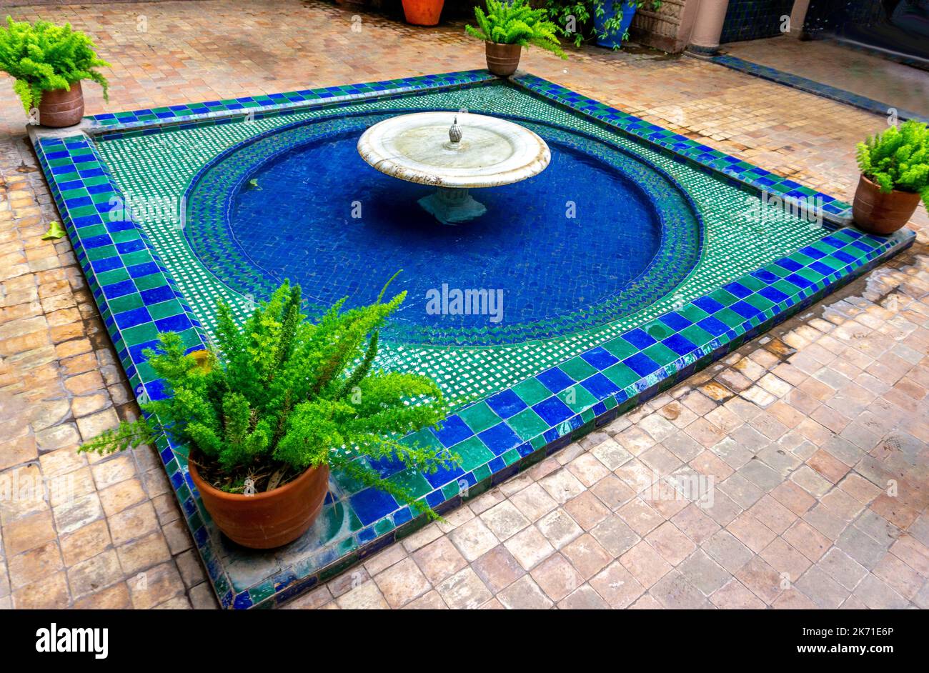 Maroc, Marrakech, jardin Majorelle. Des jardins célèbres au coeur de Marrakech ont commencé par Yves San Laurent et maintenant des jardins publics. Banque D'Images