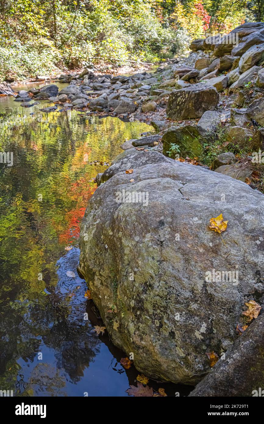 De magnifiques couleurs automnales se reflètent dans la crique de Toccoa, juste en dessous des chutes de Toccoa, en Géorgie. (ÉTATS-UNIS) Banque D'Images