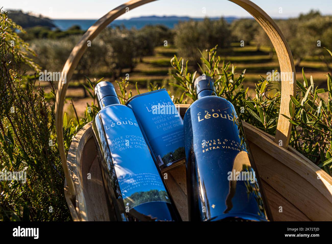 Les deux variétés d'huile d'olive du Château Léoube. Premium et Azur à Bormes-les-Mimosas, France Banque D'Images