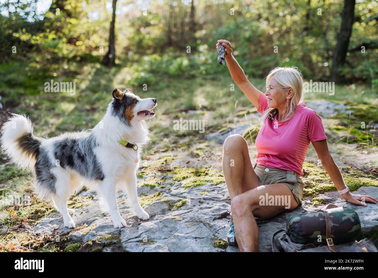 Femme âgée formant son chien pendant une promenade dans la forêt. Banque D'Images