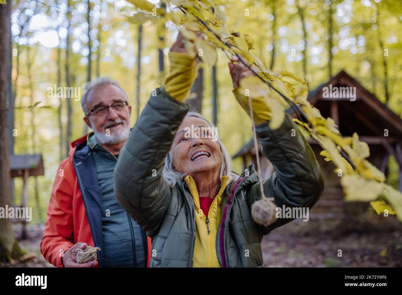 Couple senior qui pendait une boule de nourriture pour oiseaux près du mangeoire pour animaux de forêt. Banque D'Images