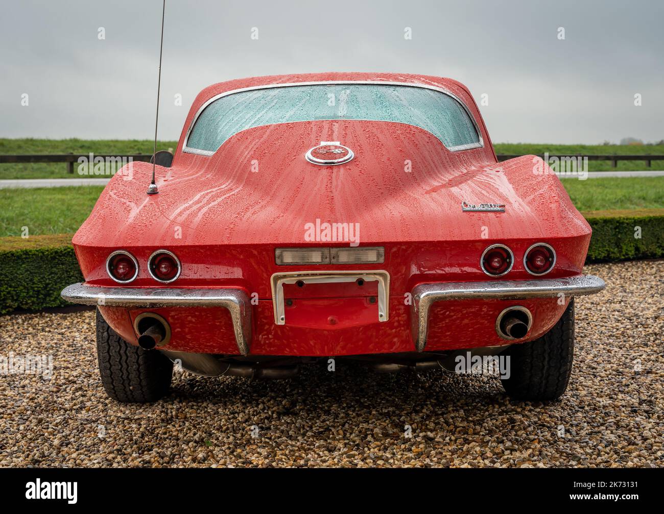 Brummen, province Gelderland, pays-Bas, 15.10.2022, vue arrière de la légendaire Corvette Sting Ray de Chevrolet de la 1960s, deuxième génération dans l're Banque D'Images