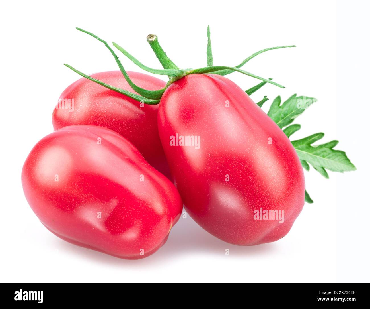Trois tomates roses (prunes) avec des feuilles de tomate isolées sur fond blanc. Banque D'Images