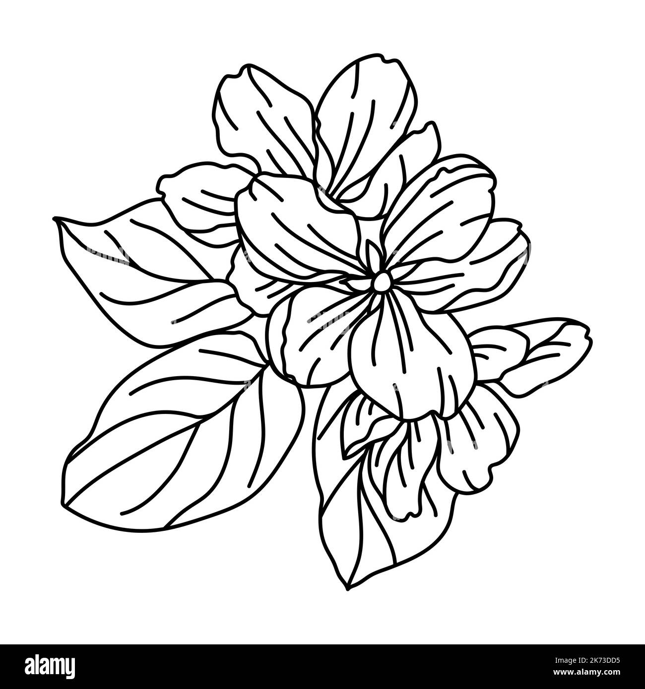 Illustration de la fleur de pommier. Belle plante décorative. Illustration de Vecteur