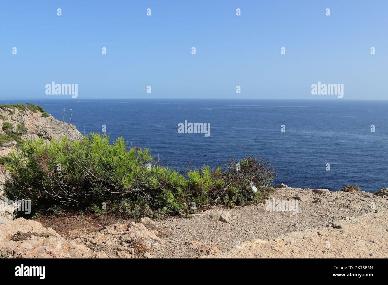 Vue idyllique sur les rochers ensoleillées au-dessus de la mer avec végétation verte en premier plan, Cala Ratjada, Majorque, espace copie Banque D'Images