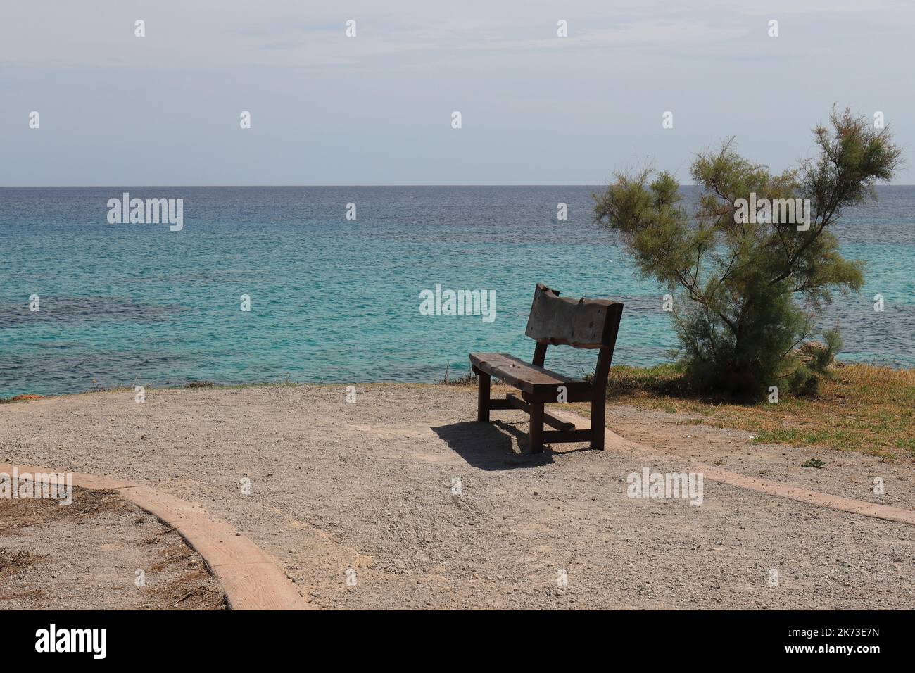 à côté d'un petit tamarisque invite un banc en bois près de la mer à s'attarder, copier l'espace Banque D'Images