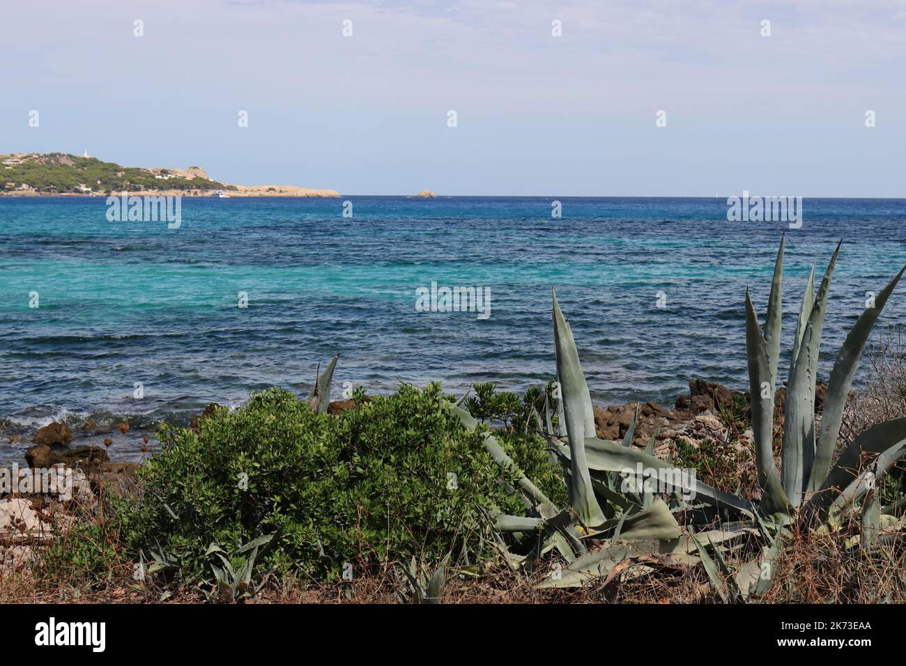 Vue sur la mer Méditerranée bleue et turquoise avec végétation verte en premier plan, Cala Ratjada, Majorque, espace copie Banque D'Images