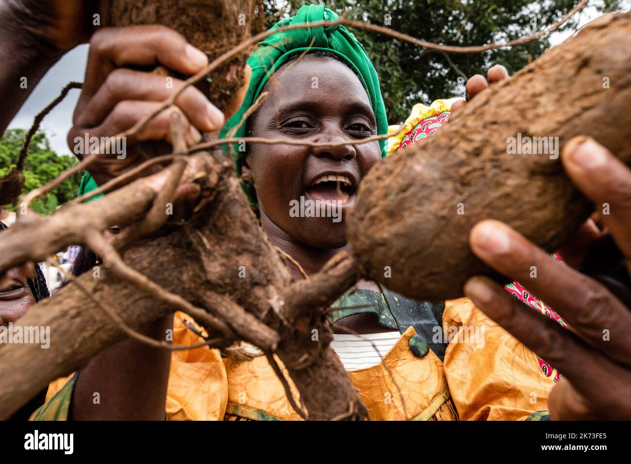 Une femme rurale de Dibang Afura célèbre la Journée internationale montrant un énorme arbuste manioc. La Journée internationale des femmes rurales célébrée au Cameroun et le Ministère de l'autonomisation des femmes et de la famille ont lancé les célébrations à Nguibassal, Centre Cameroun. La Journée internationale a été créée par les Nations Unies et observée pour la première fois en 2008. Parmi les célébrants, on comptait près de 2000 femmes rurales de communautés comme Ngog-Mapubi, Bondjock, Makak, Dibang et d'autres. Dans un monde où les disparités entre les sexes se sont intensifiées et où les femmes sont confrontées à des problèmes de propriété du bétail, égal à p Banque D'Images