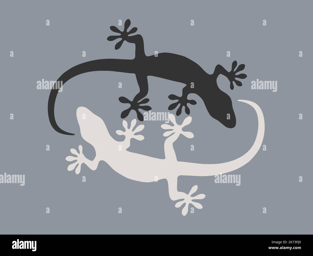 Geckos sur fond noir et blanc gris Illustration de Vecteur