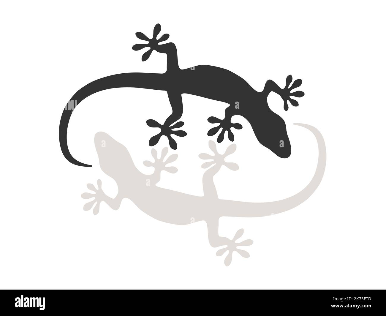 Geckos sur fond blanc Illustration de Vecteur