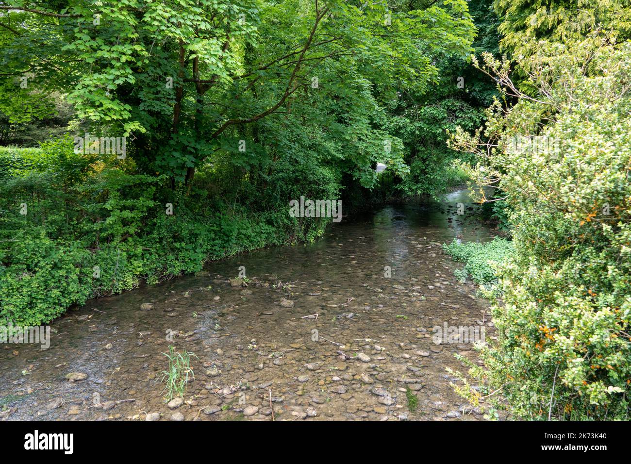 La rivière Bybrook s'écoulant à travers le château Combe dans une vallée boisée de Cotswold Banque D'Images