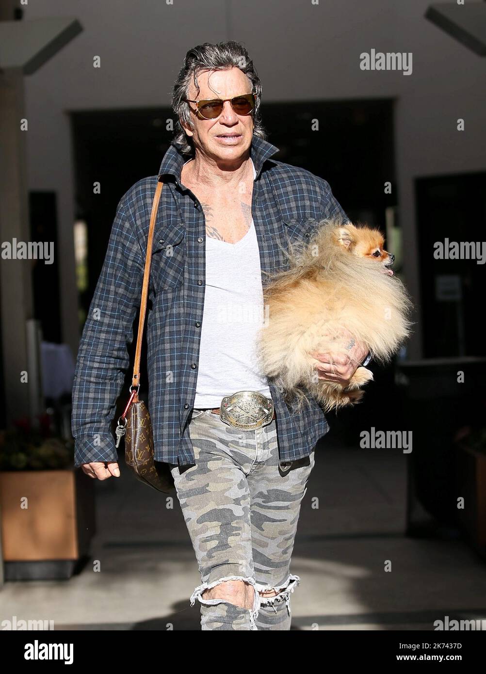 Mickey Rourke Puppy Mickey rourke dog Banque de photographies et d’images à haute ...
