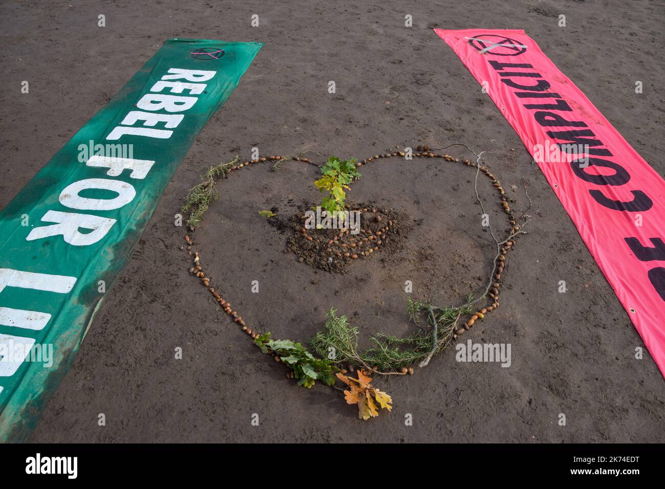 Londres, Angleterre, Royaume-Uni. 17th octobre 2022. Extinction les militants de la rébellion ont planté un arbre sur la place du Parlement le dernier jour de leur Festival de la résistance. L'arbre est un descendant du Chêne de Kett, âgé de 600 ans, à Norfolk, site de la rébellion de Kett, datant de 1549, lorsque 16 000 personnes se sont levés contre les classes dominantes. Le jeune arbre de la place du Parlement sera gardé par des militants 24 heures sur 24. (Image de crédit : © Vuk Valcic/ZUMA Press Wire) Banque D'Images