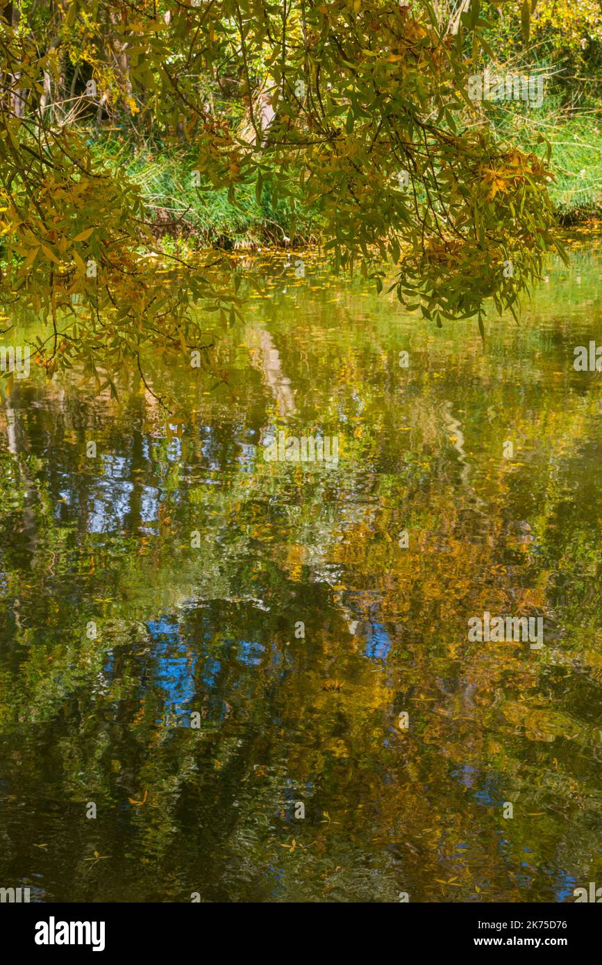 Réflexions de l'eau. Banque D'Images