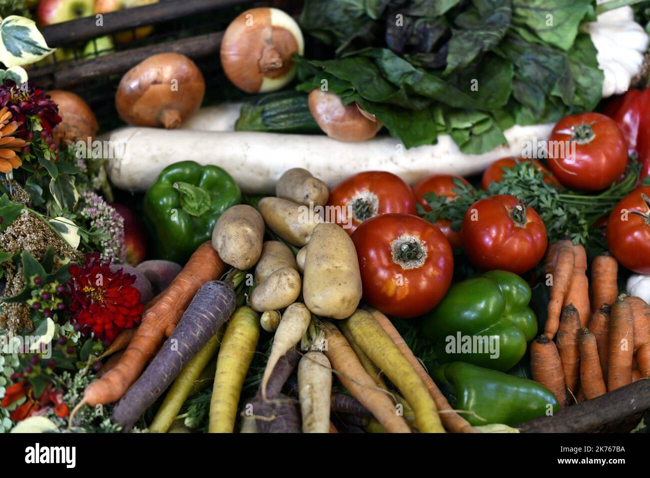 La fraternité de Saint-Fiacre (qui réunit des jardiniers du marché, des horticulteurs, des nourriciens et des officiels de pars et jardins de villes) célèbre leur Saint patron avec une grande messe à la cathédrale. Banque D'Images