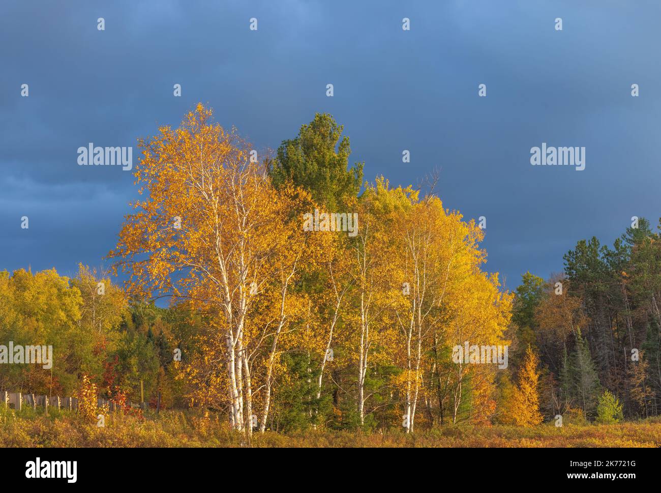 Belle lumière illuminant les couleurs d'automne sur le lac Little Clam dans le nord du Wisconsin. Banque D'Images