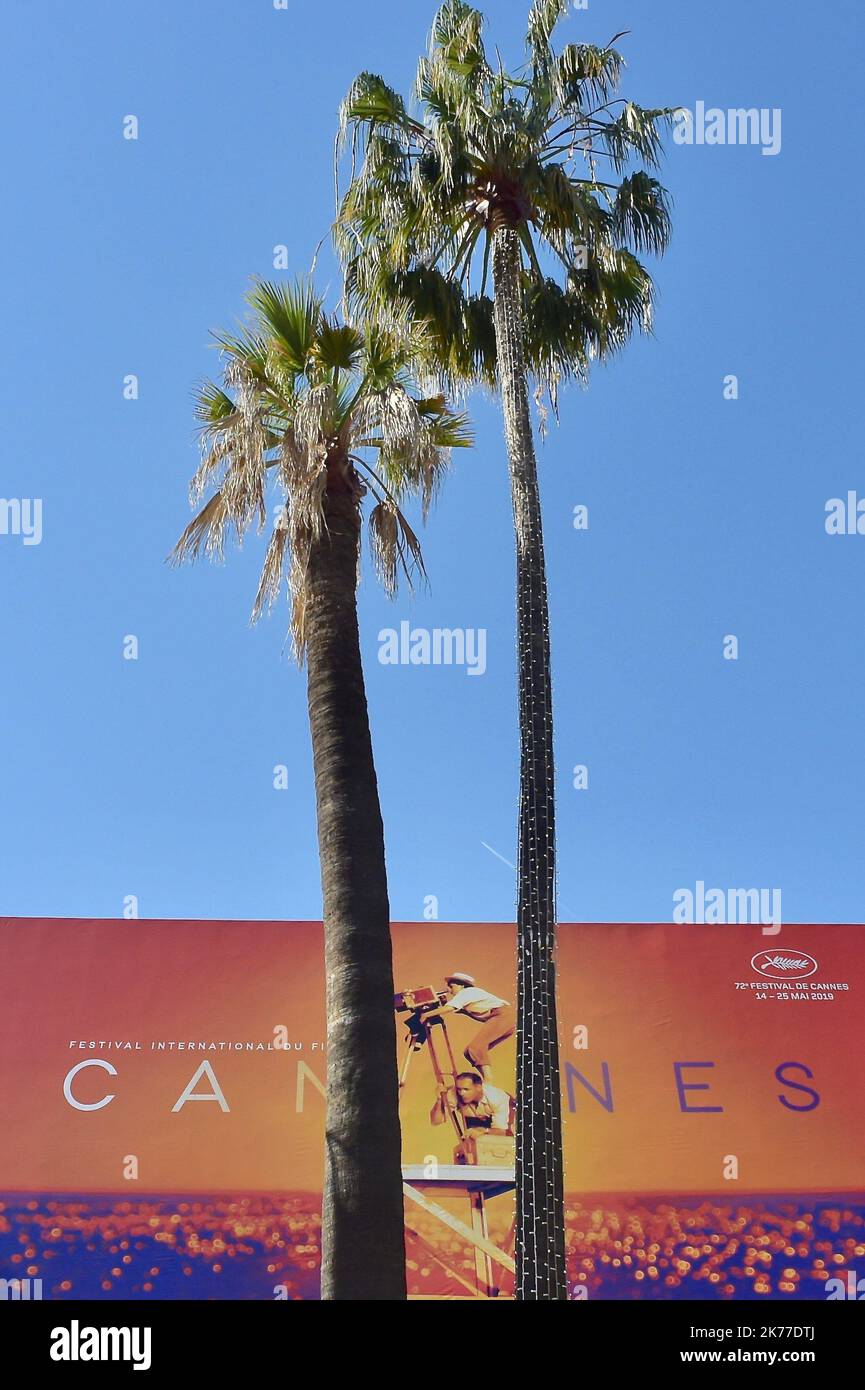 ©FRANCK CASTEL/MAXPPP - le Festival annuel du film de Cannes 72nd CANNES, FRANCE - MAI 14 le Festival annuel du film de Cannes 72nd sur 14 mai 2019 à Cannes, France. Banque D'Images