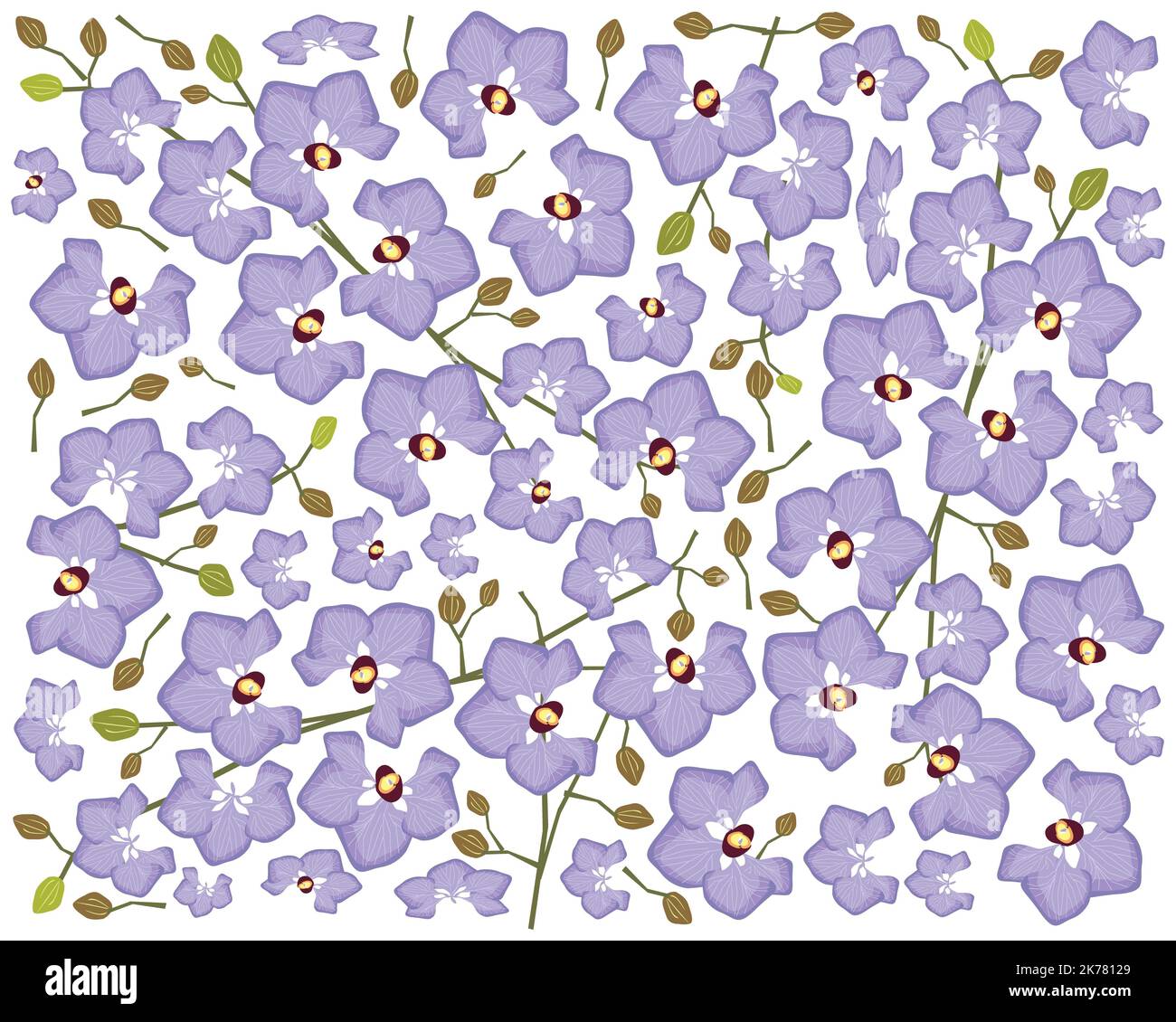 Fleur et plante, illustration arrière-plan de la belle Phalaenopsis pourpre ou Doritaenopsis Orchid Flower Streak. Banque D'Images