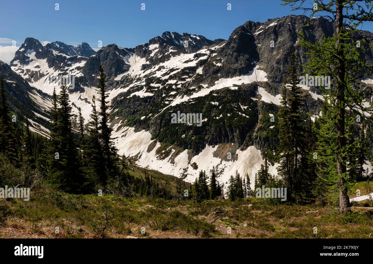 Photo prise de Easy Pass. Neige encore sur le sol à la mi-juillet. Easy Pass, parc national de North Cascades, Washington, États-Unis. Banque D'Images