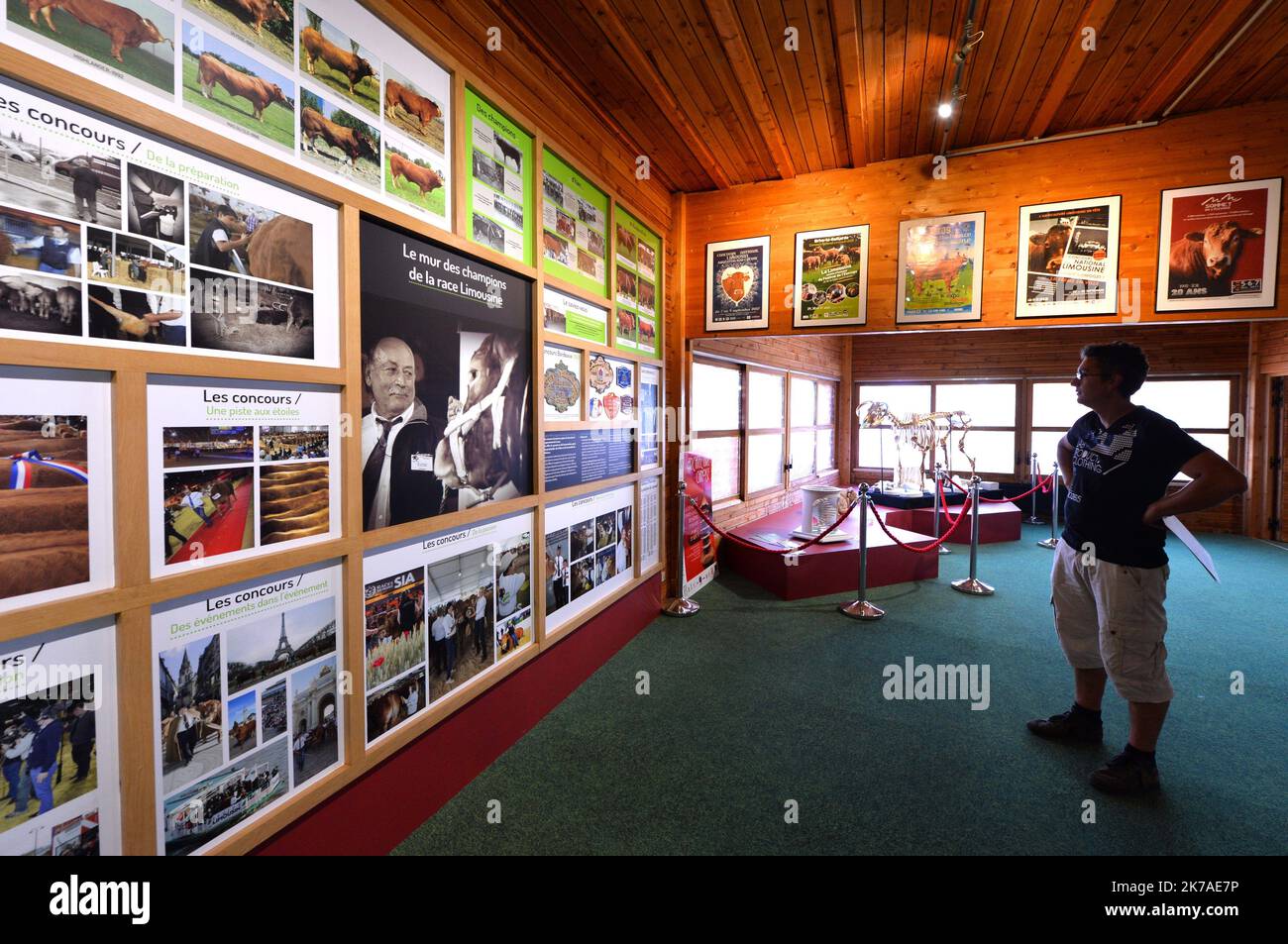 ©PHOTOPQR/POPULAIRE DU CENTRE/Thomas JOUHANNAUD ; ; 16/07/2015 ; PARC LIMOUSINE en plus des visites mathématiques, venu détailler le Limousine Park lors d'une visite dynamique autour de la course Limousine et des savoir-faire du Limousin. - 2020/08/10. Le Limousine Park, un cadre naturel de 7 hectares, honore le patrimoine de la Briance Valley, un site enregistré, pittoresque et riche en histoire, en commençant par les vaches locales qui sont les Limousine. La ferme avec son architecture typique du 19th siècle et les labyrinthes sont toutes de nouvelles occasions d'apprendre tout en s'amusant pour les enfants de 3 à 12 Banque D'Images