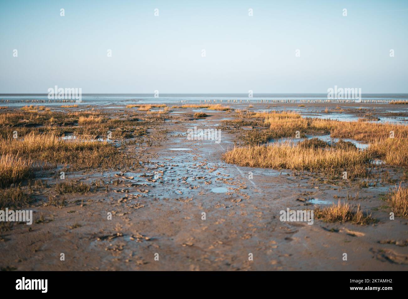 Mudflats à marée basse à Friedrichskoog, Allemagne. Photo de haute qualité Banque D'Images
