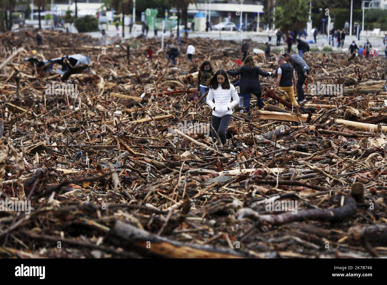 ©PHOTOPQR/NICE MATIN/Dylan Meiffret ; Saint-Laurent-du-Var ; 04/10/2020 ; SAINT-LAURENT-DU-VAR, le 04/10/2020, la clue du Var chariot des tonnes de bois et de troncs d'arbres qui sont venus s'échouer sur la plage de Saint Laurent du var, transforme en mer de bois. Des dixaines de personnes sont venus observateur ce phonomène impressionant. - Saint Laurent du Var 04/10/2020: Une énorme quantité de bois mort transporté par le Var et tous les fleuves de l'arrière-pays de Nice s'est lavé sur les plages et dans le port de Saint Laurent du Var. La police essaie de nettoyer de nombreuses bouteilles de gaz, vides ou pleines, pleines Banque D'Images